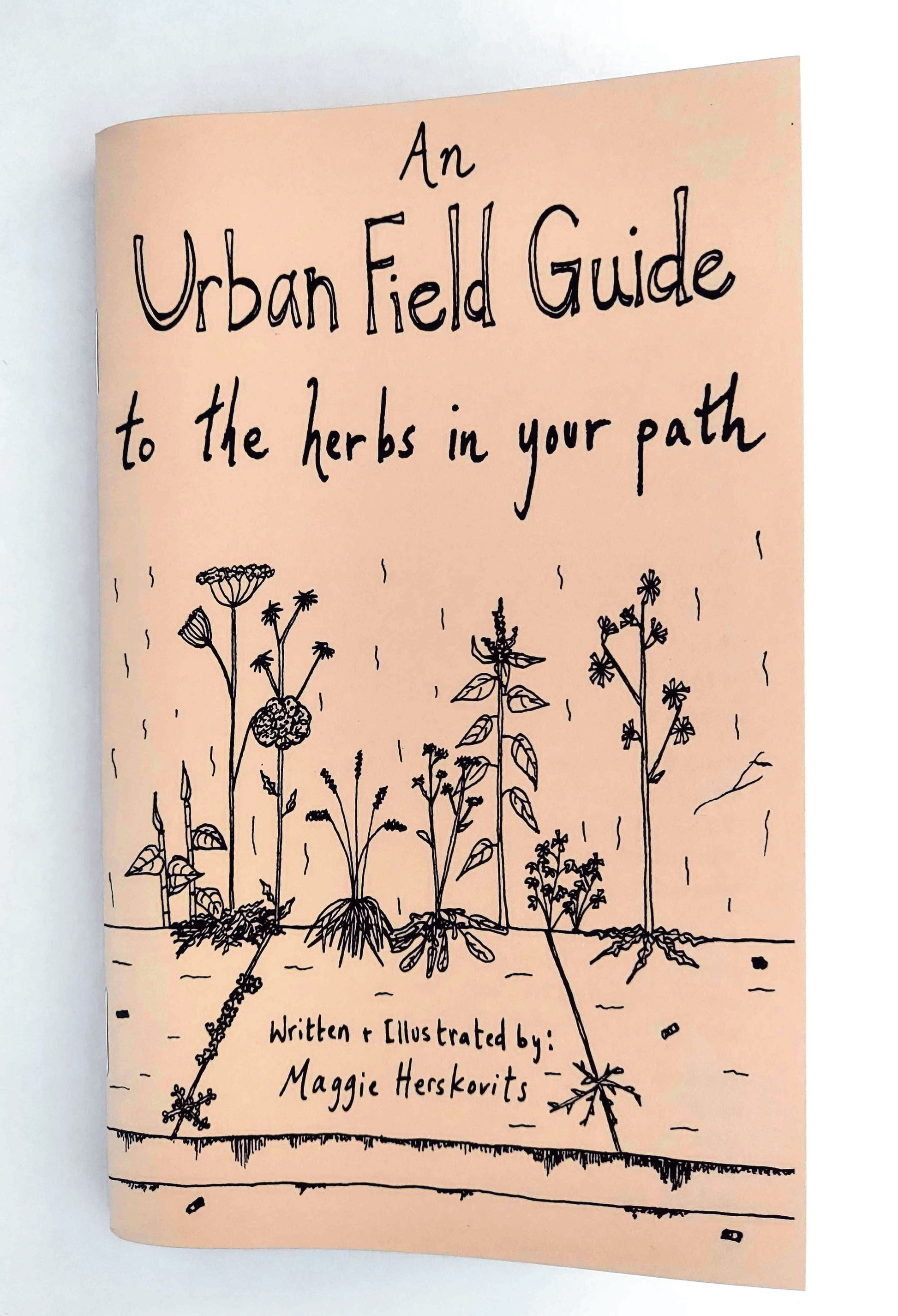 Explore Urban Herbs in Your Path: A Zine Field Guide