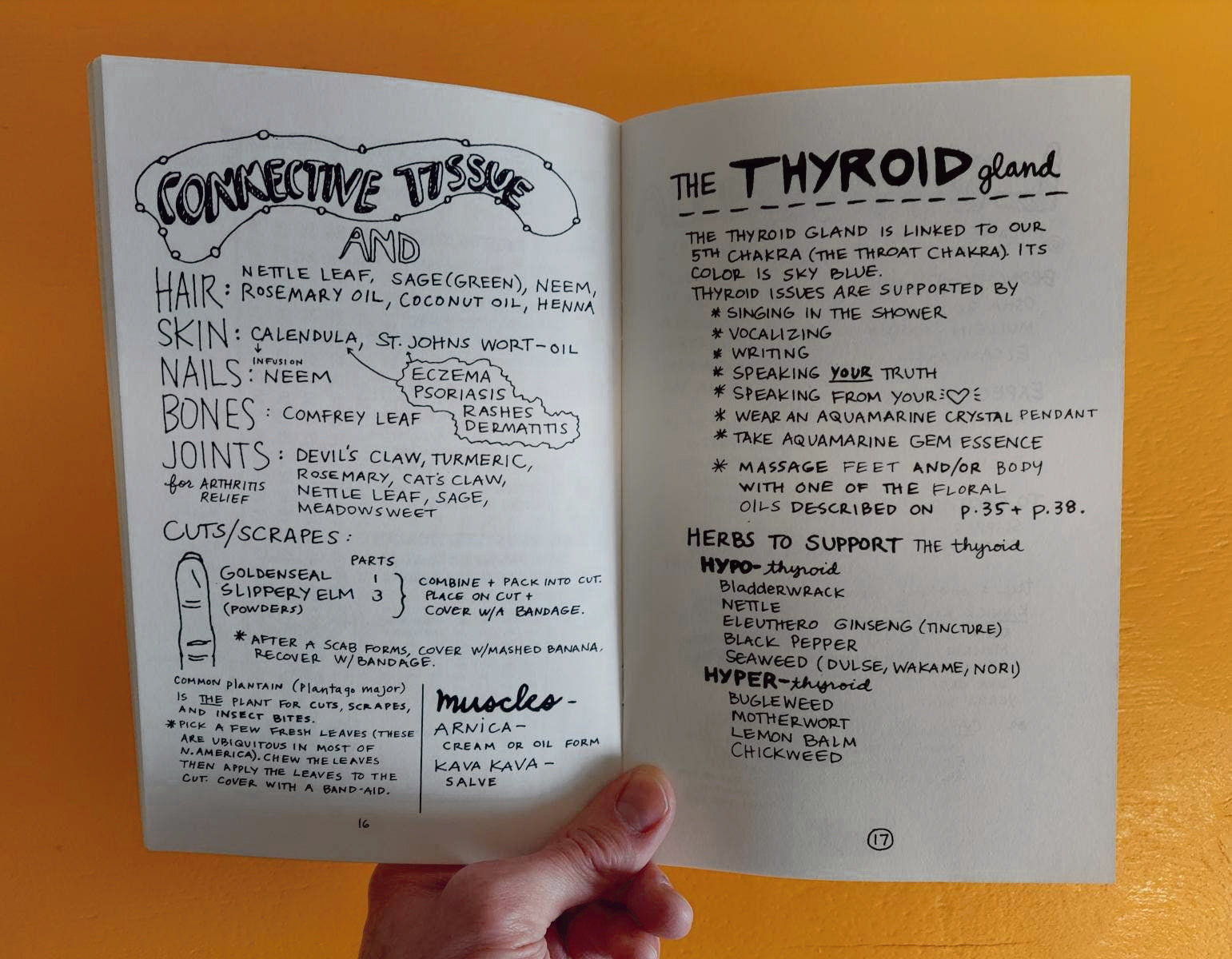 Empower Your Magical Body: Healing with Plants & Minerals (Zine)