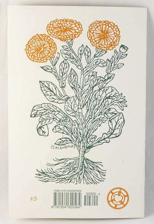 Herbal First Aid: Build a Natural Kit (Zine)
