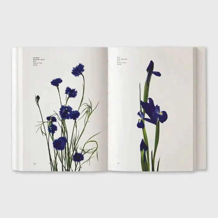 Flower Color Secrets