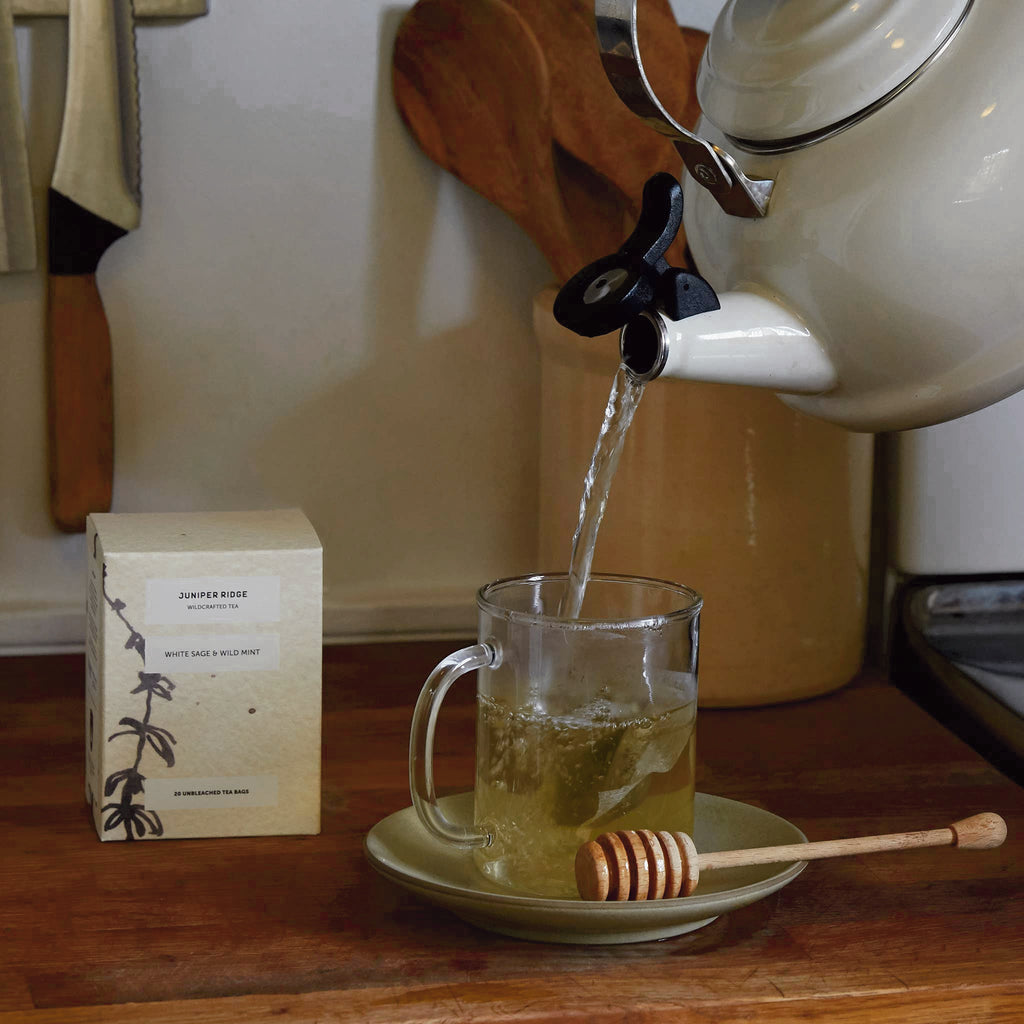 Botanical Bliss: White Sage & Wild Mint