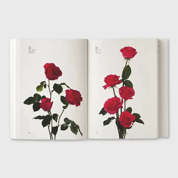 Flower Color Secrets