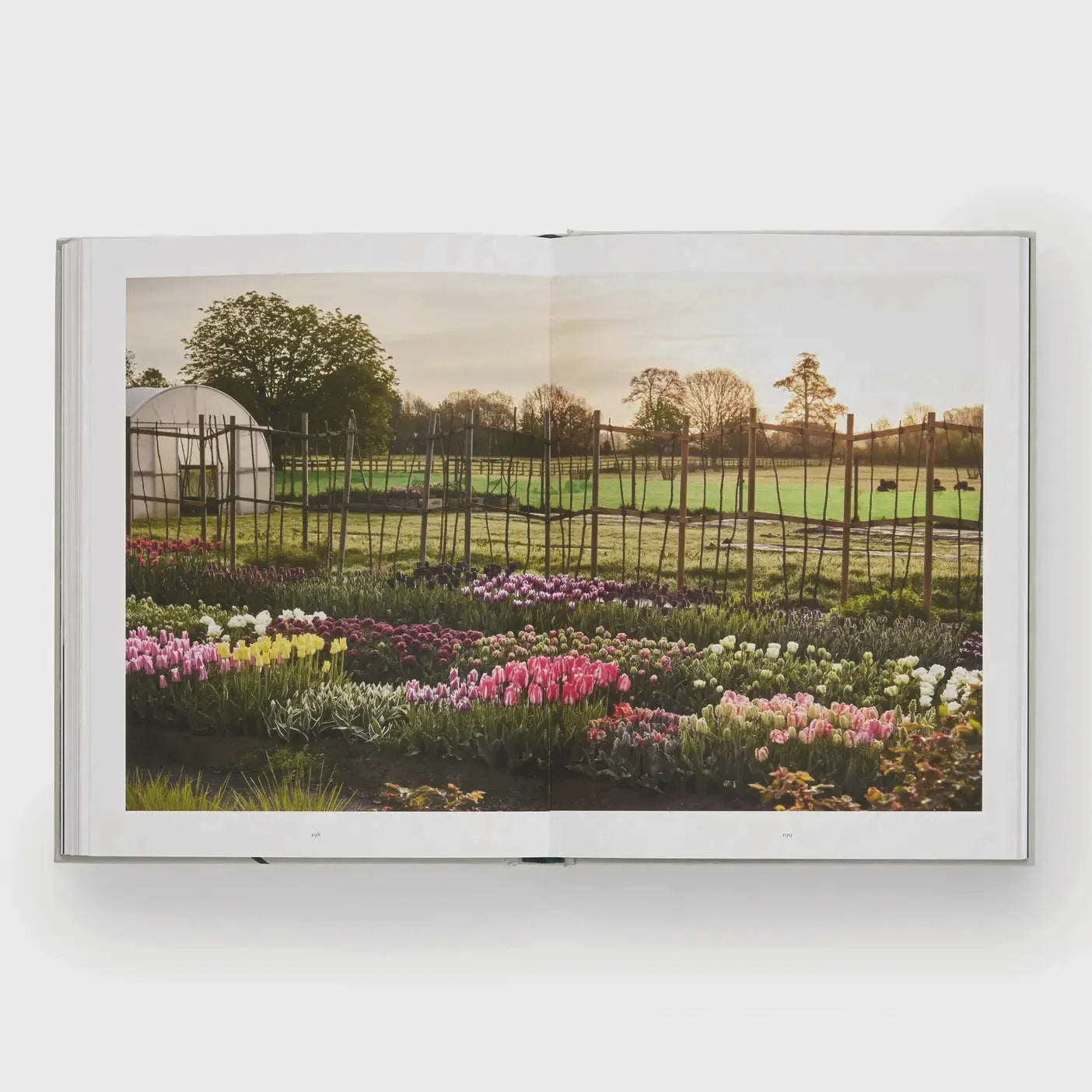 Tulip Gardens: Cultivate and Collect Rare Varieties