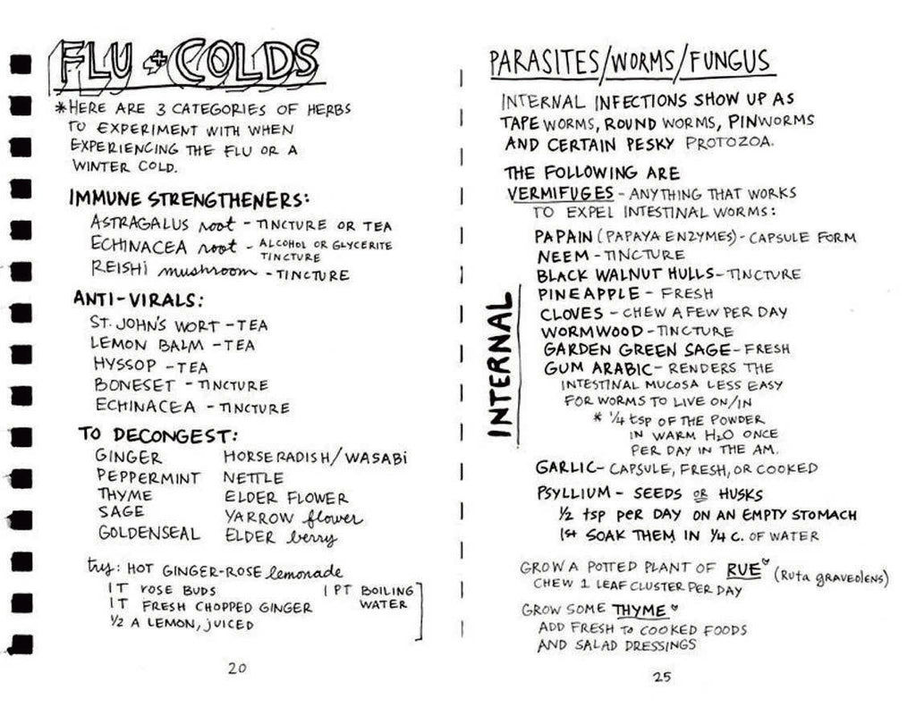 Empower Your Magical Body: Healing with Plants & Minerals (Zine)