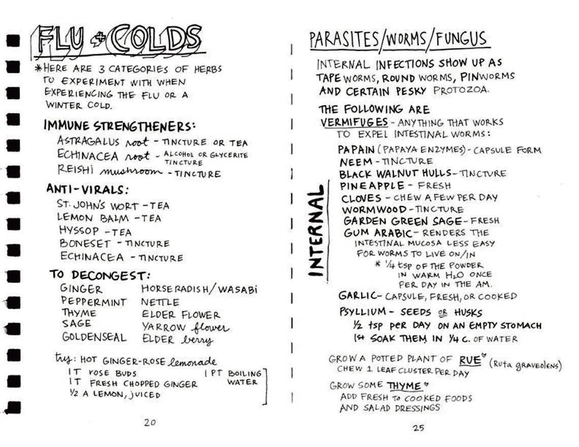 Empower Your Magical Body: Healing with Plants & Minerals (Zine)