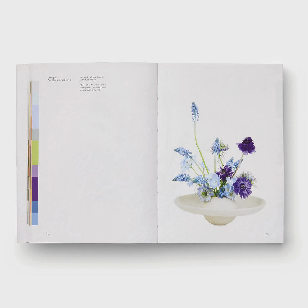 Discover Flower Color Theory