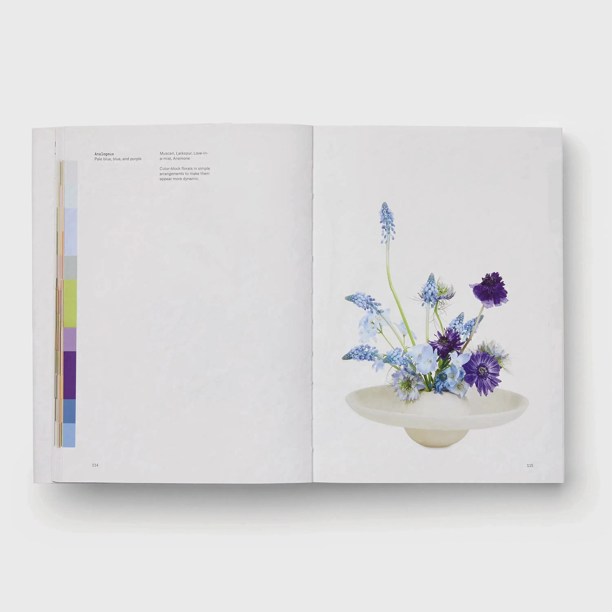 Discover Flower Color Theory