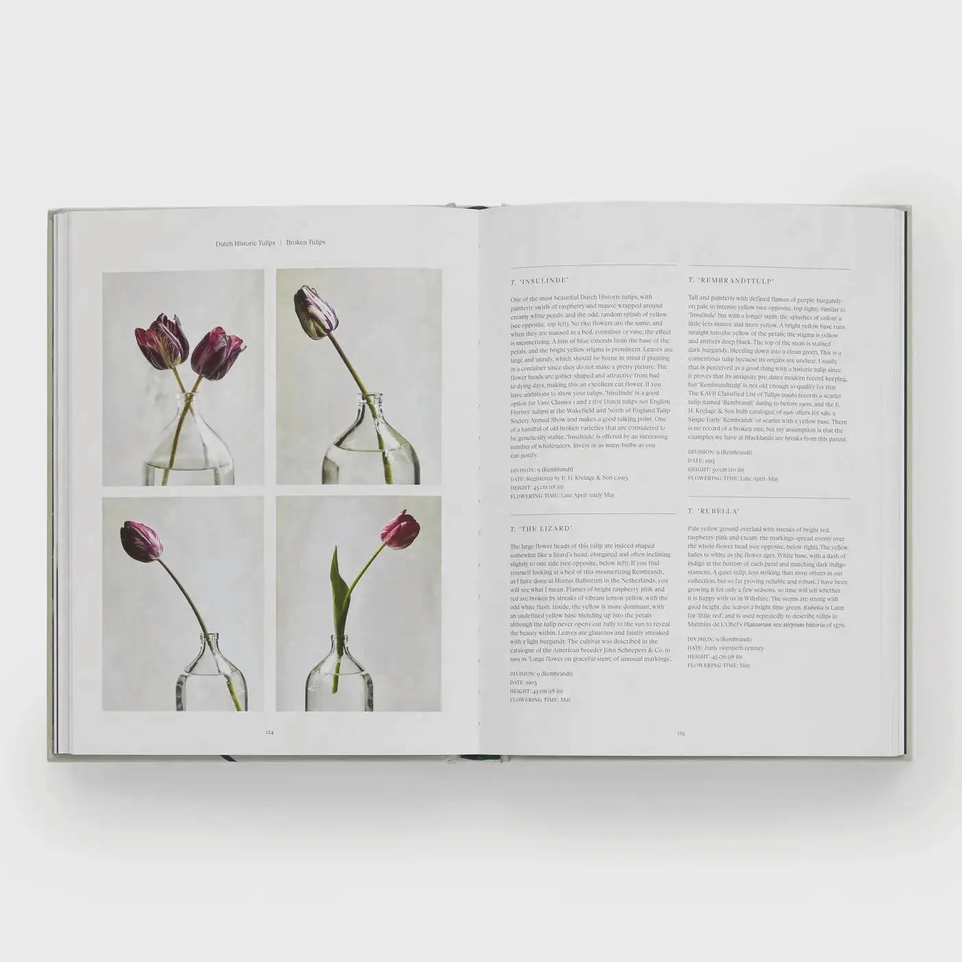 Tulip Gardens: Cultivate and Collect Rare Varieties