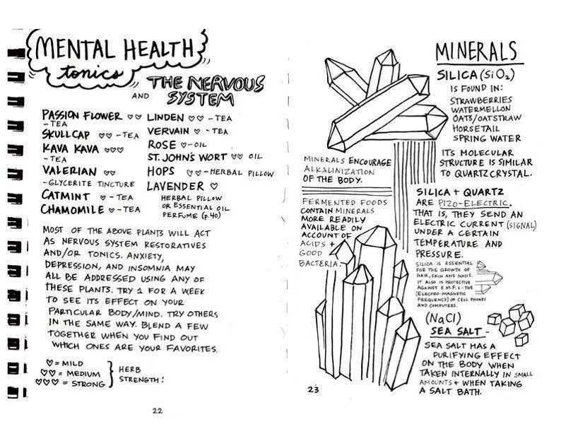 Empower Your Magical Body: Healing with Plants & Minerals (Zine)