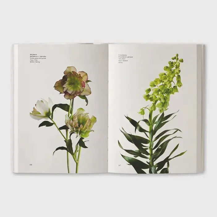 Flower Color Secrets