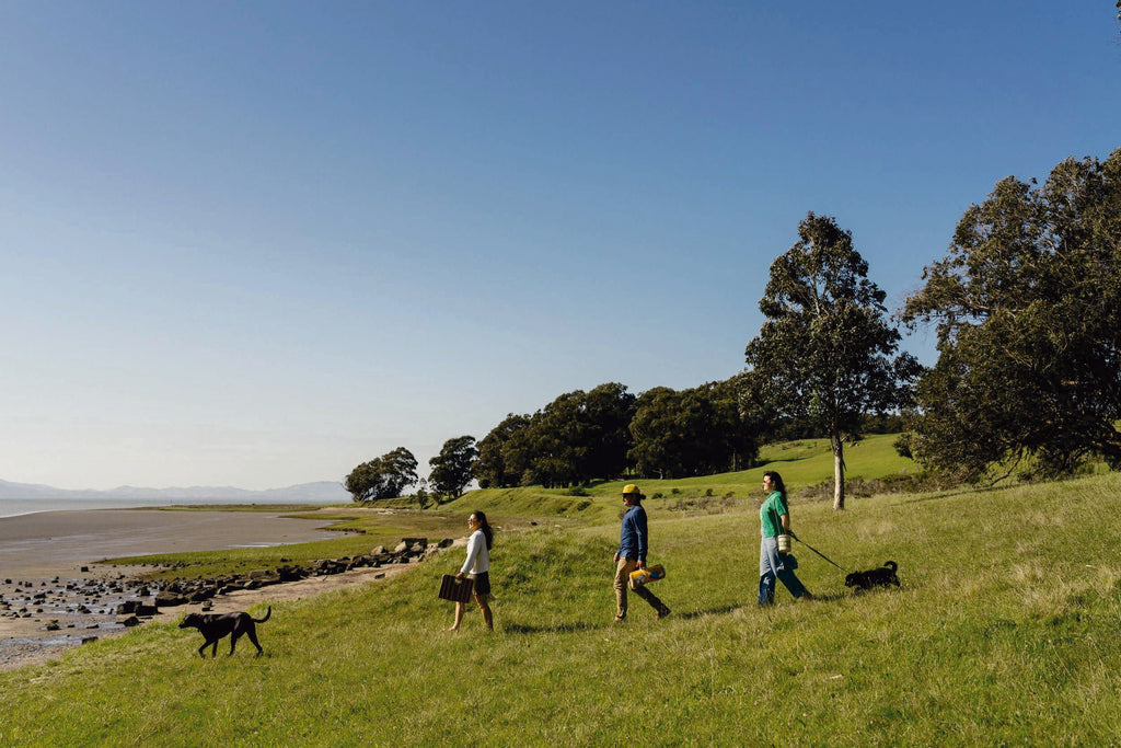 Perro Dorado Blanket Roll: Cozy Adventure Essential