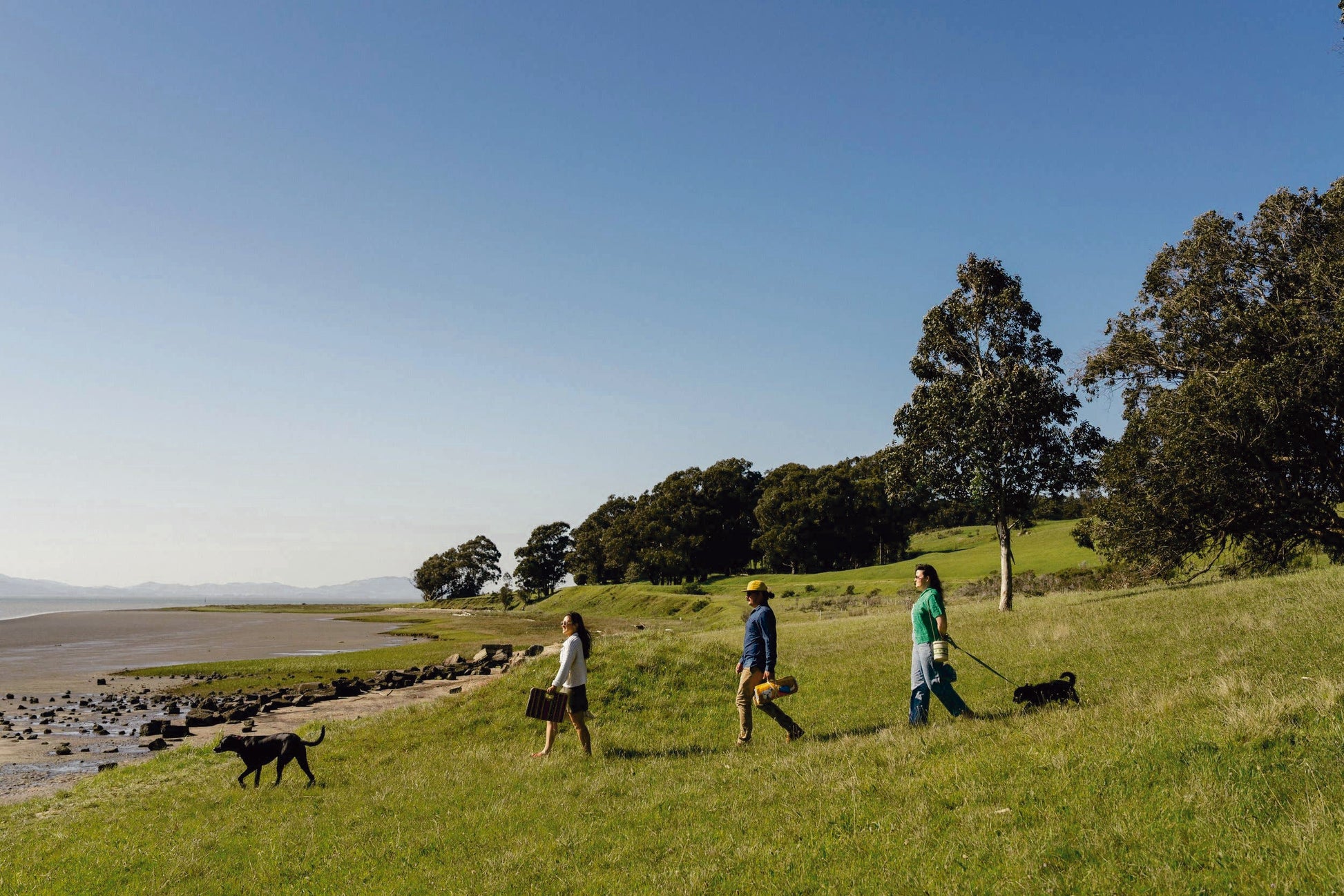 Perro Dorado Blanket Roll: Cozy Adventure Essential