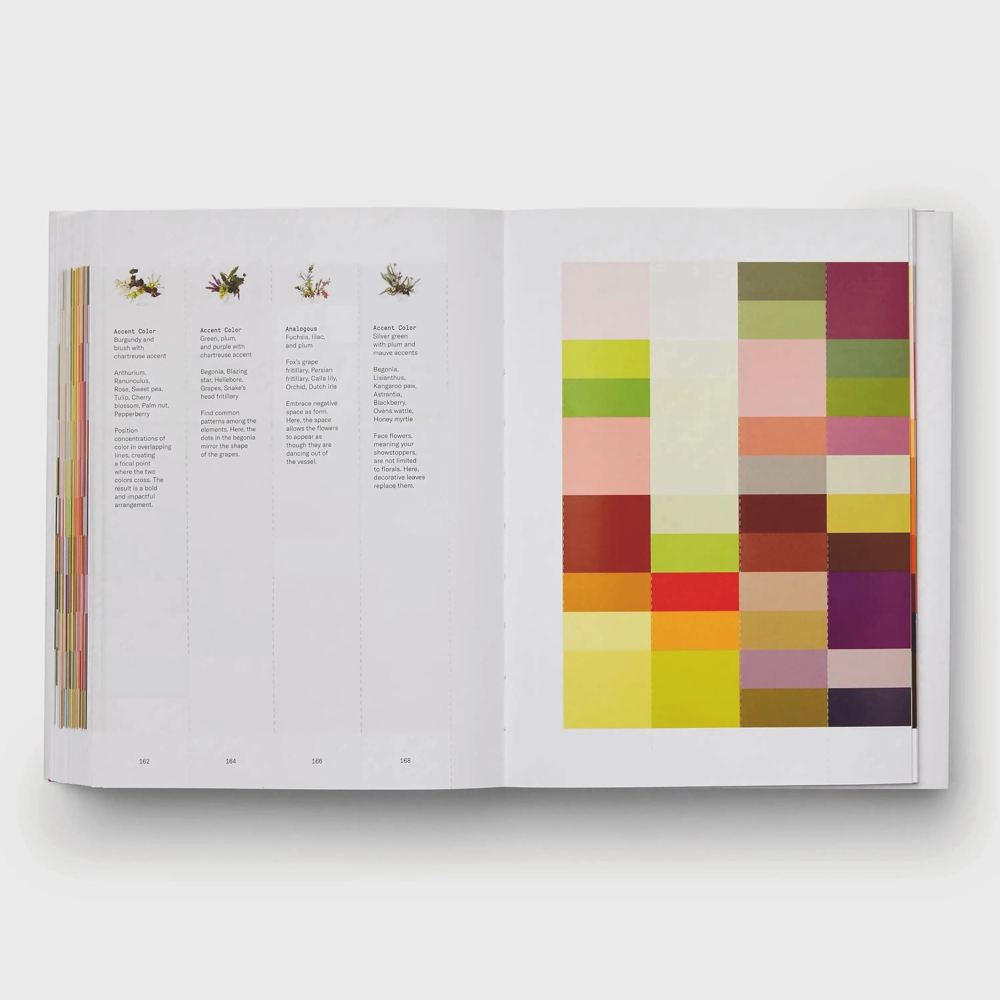 Discover Flower Color Theory
