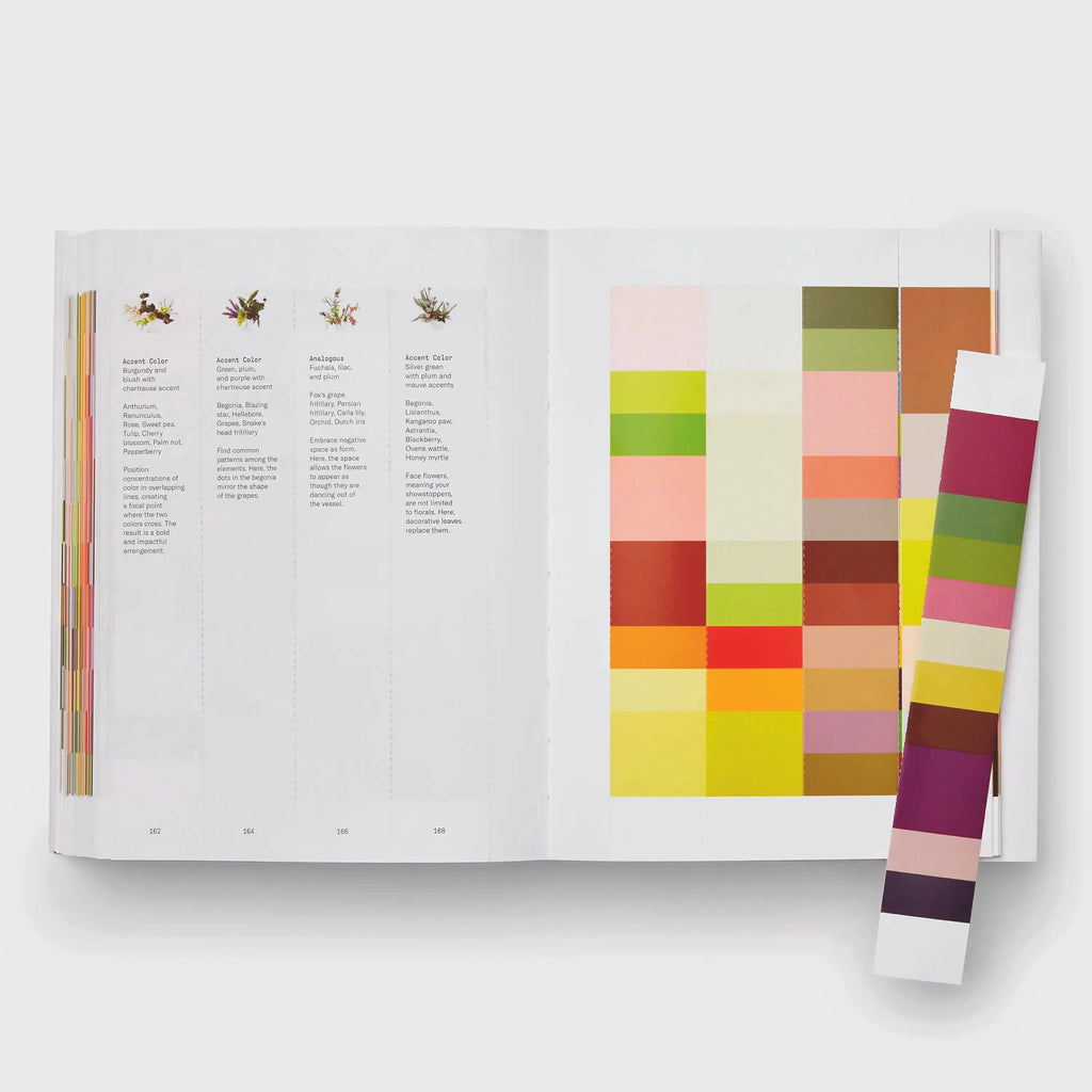 Discover Flower Color Theory
