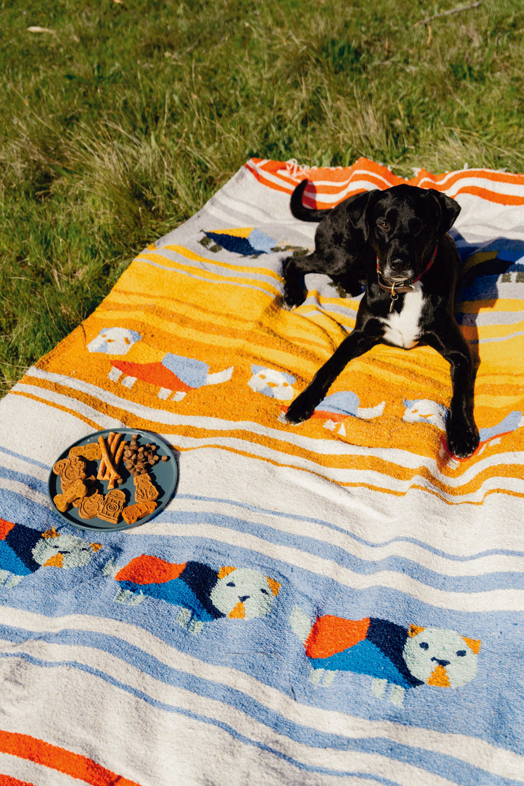 Perro Dorado Blanket Roll: Cozy Adventure Essential