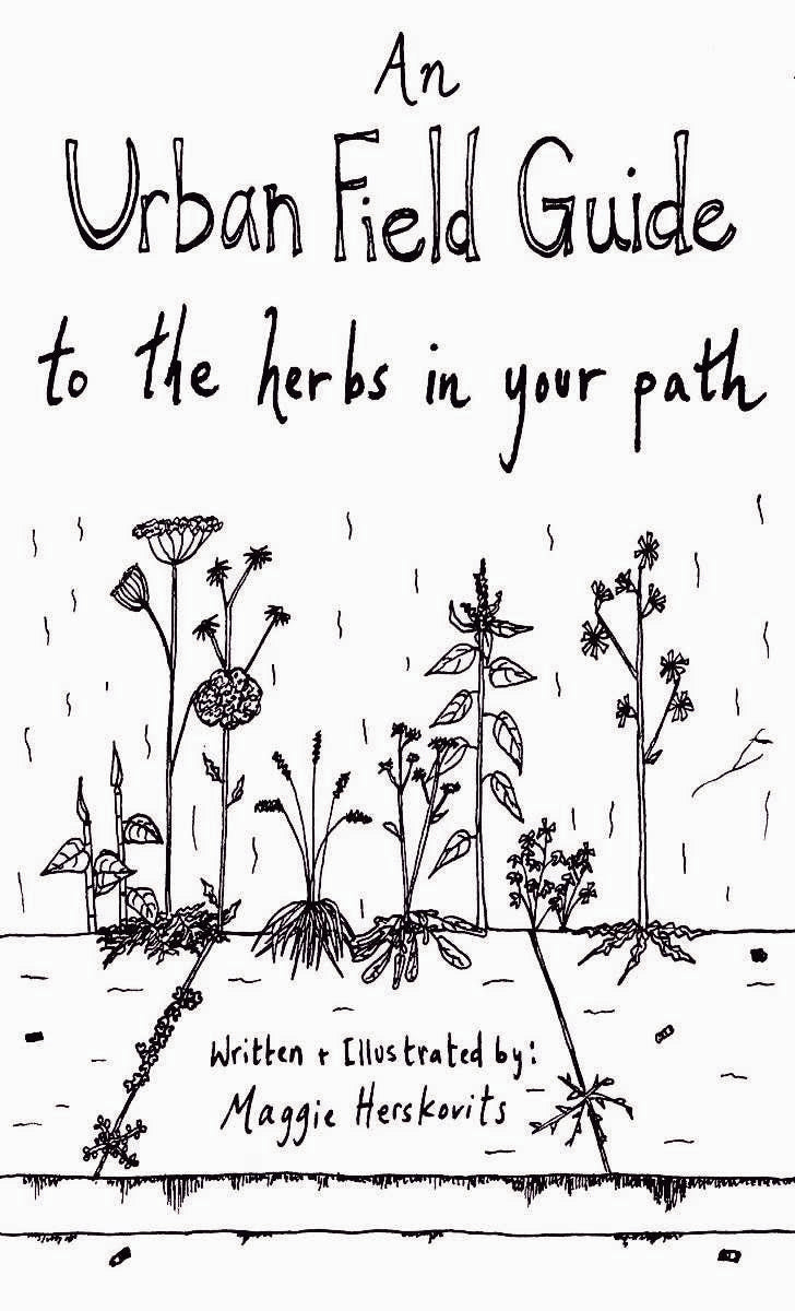 Explore Urban Herbs in Your Path: A Zine Field Guide