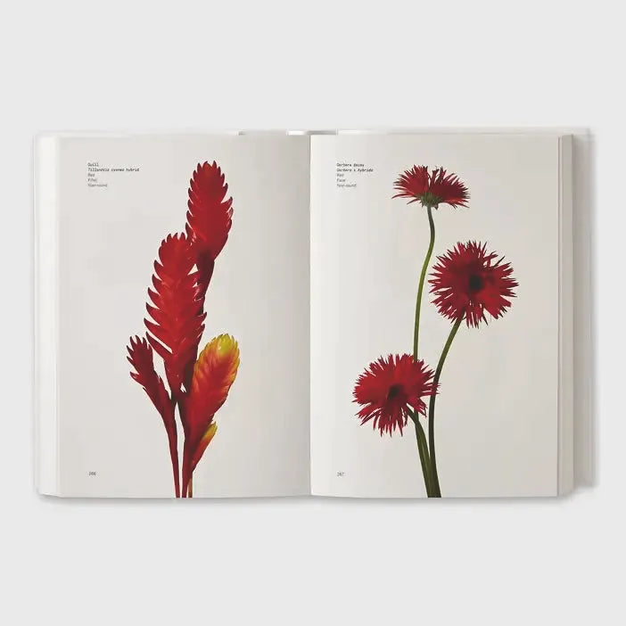 Flower Color Secrets