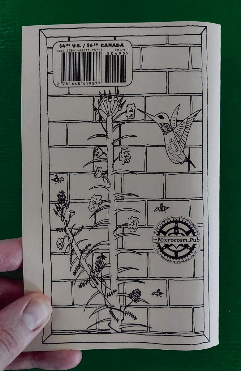 Explore Urban Herbs in Your Path: A Zine Field Guide