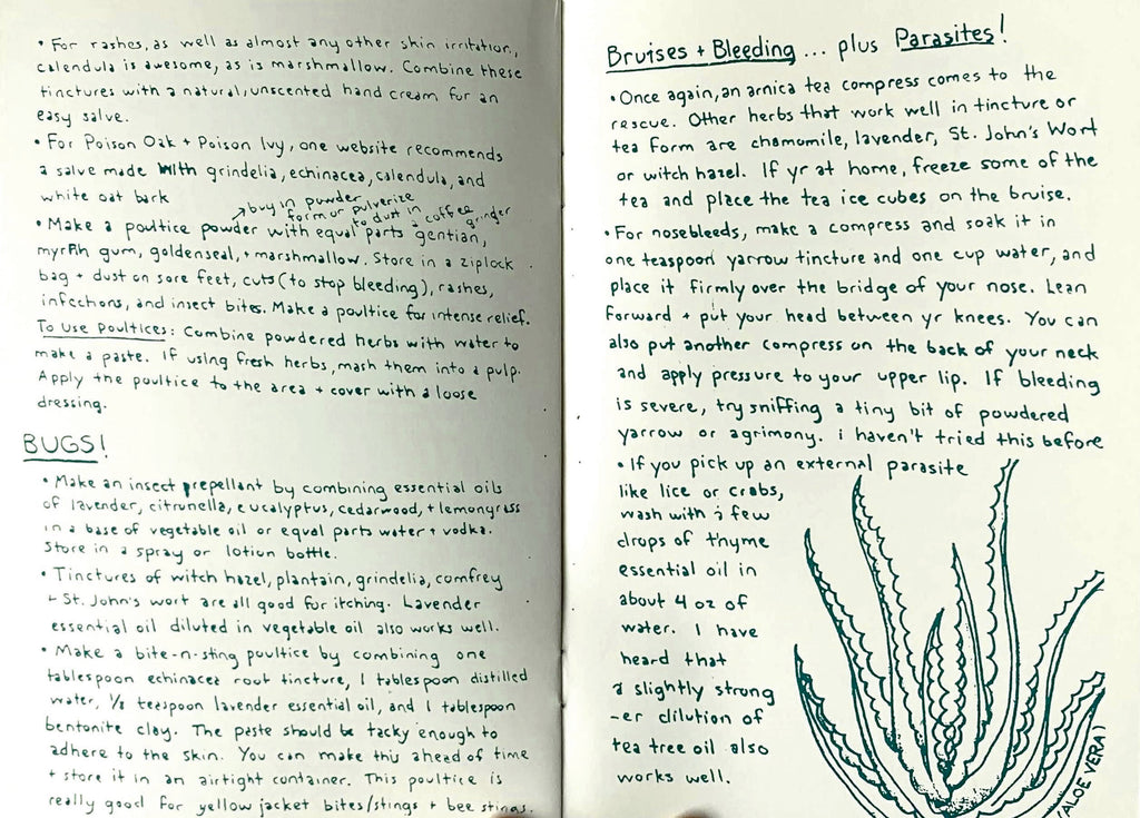 Herbal First Aid: Build a Natural Kit (Zine)