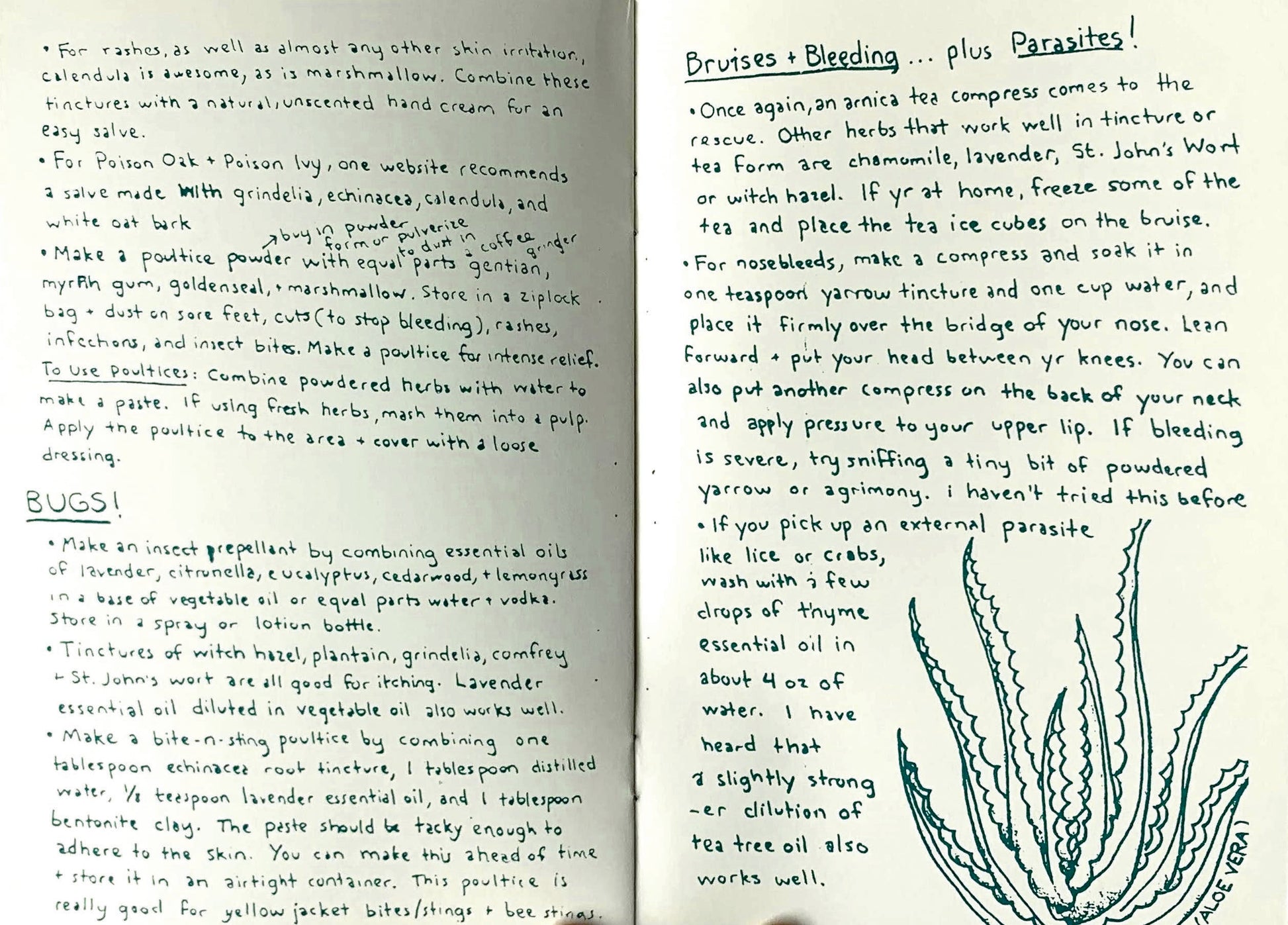 Herbal First Aid: Build a Natural Kit (Zine)