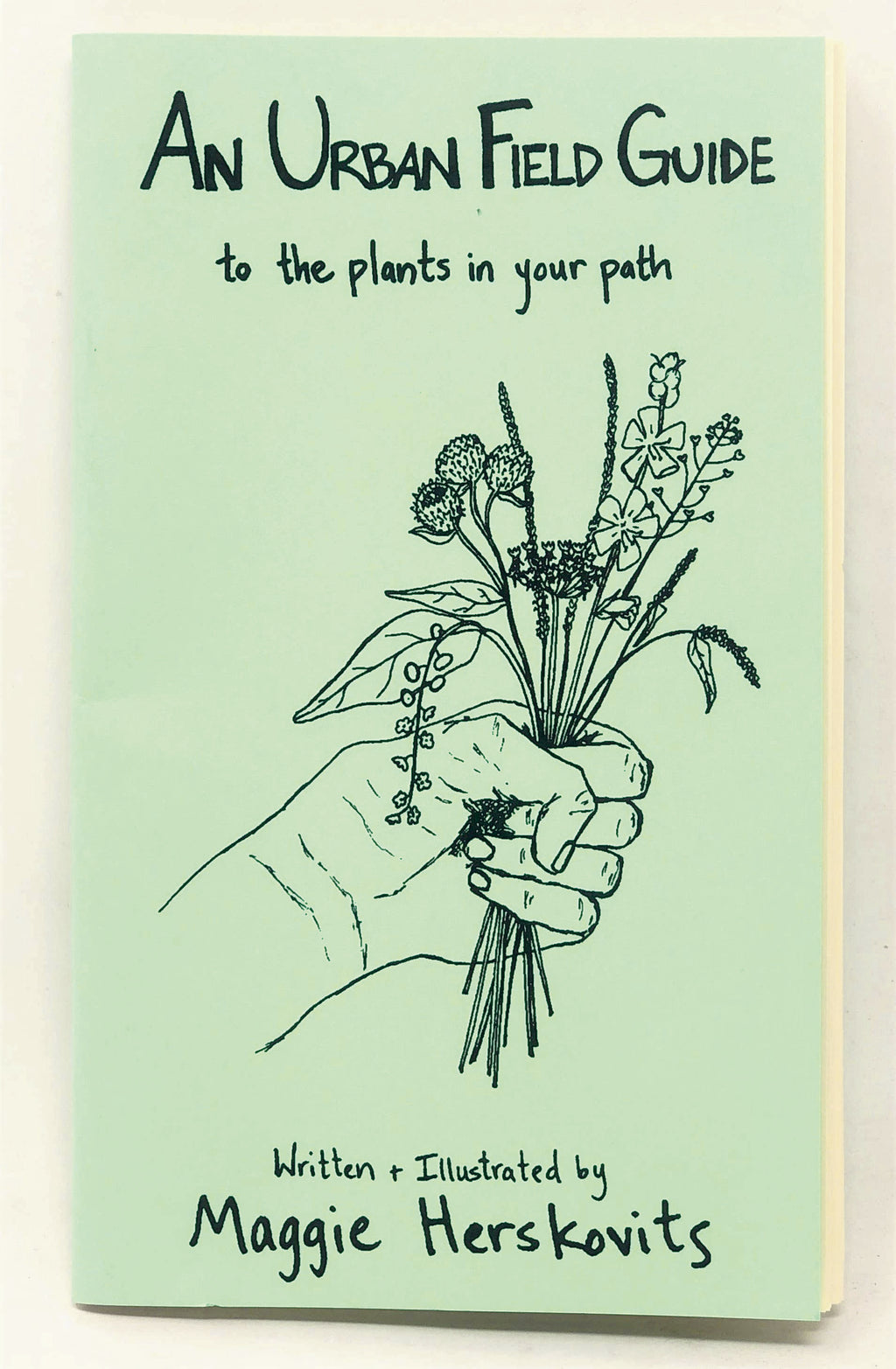 Discover Urban Plants in Your Path: A Zine Guide