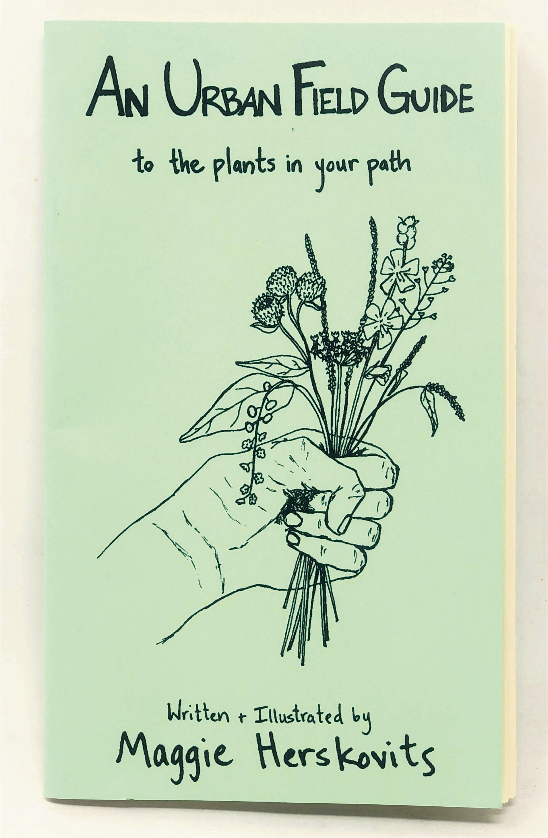 Discover Urban Plants in Your Path: A Zine Guide