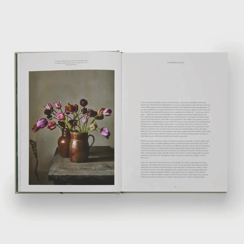 Tulip Gardens: Cultivate and Collect Rare Varieties