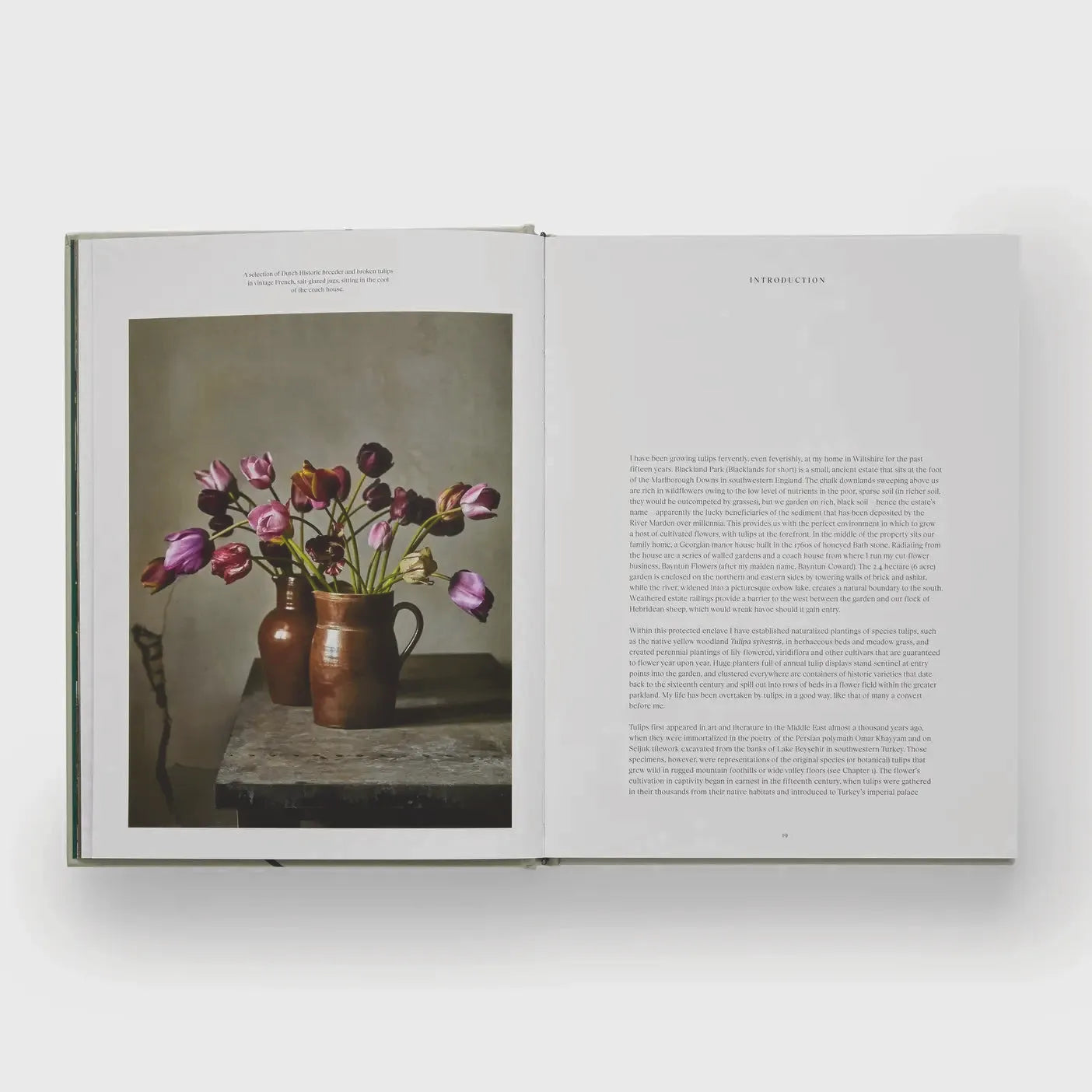 Tulip Gardens: Cultivate and Collect Rare Varieties