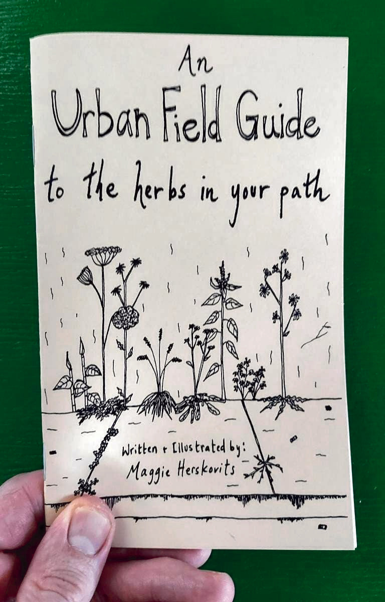 Explore Urban Herbs in Your Path: A Zine Field Guide