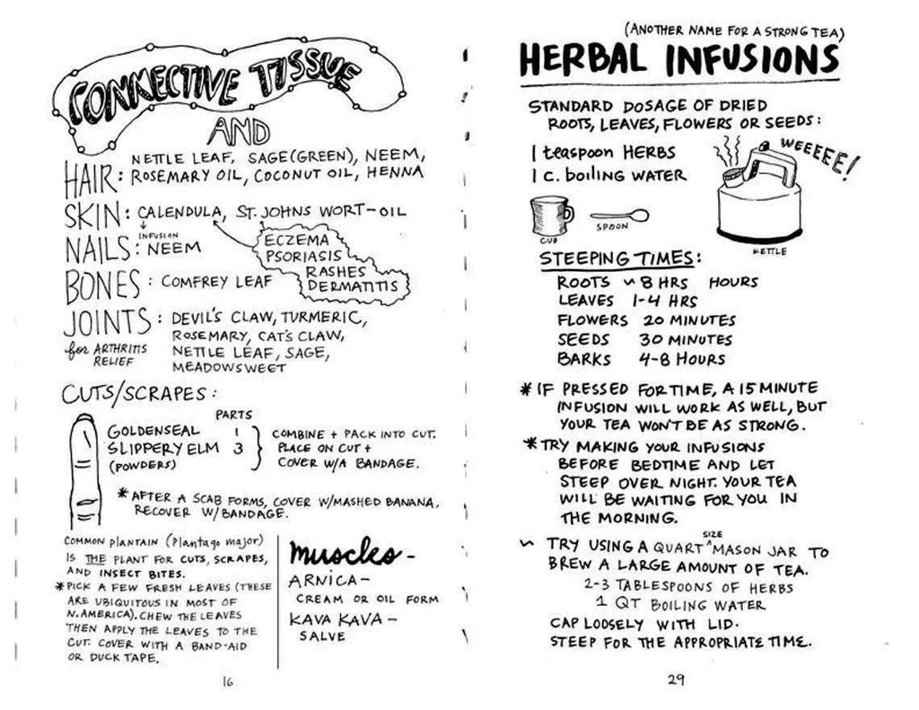 Empower Your Magical Body: Healing with Plants & Minerals (Zine)