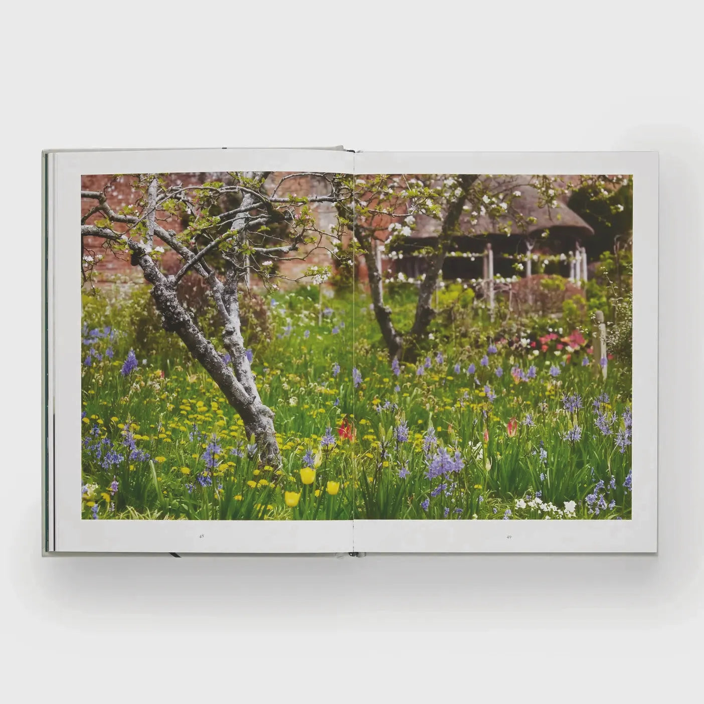 Tulip Gardens: Cultivate and Collect Rare Varieties