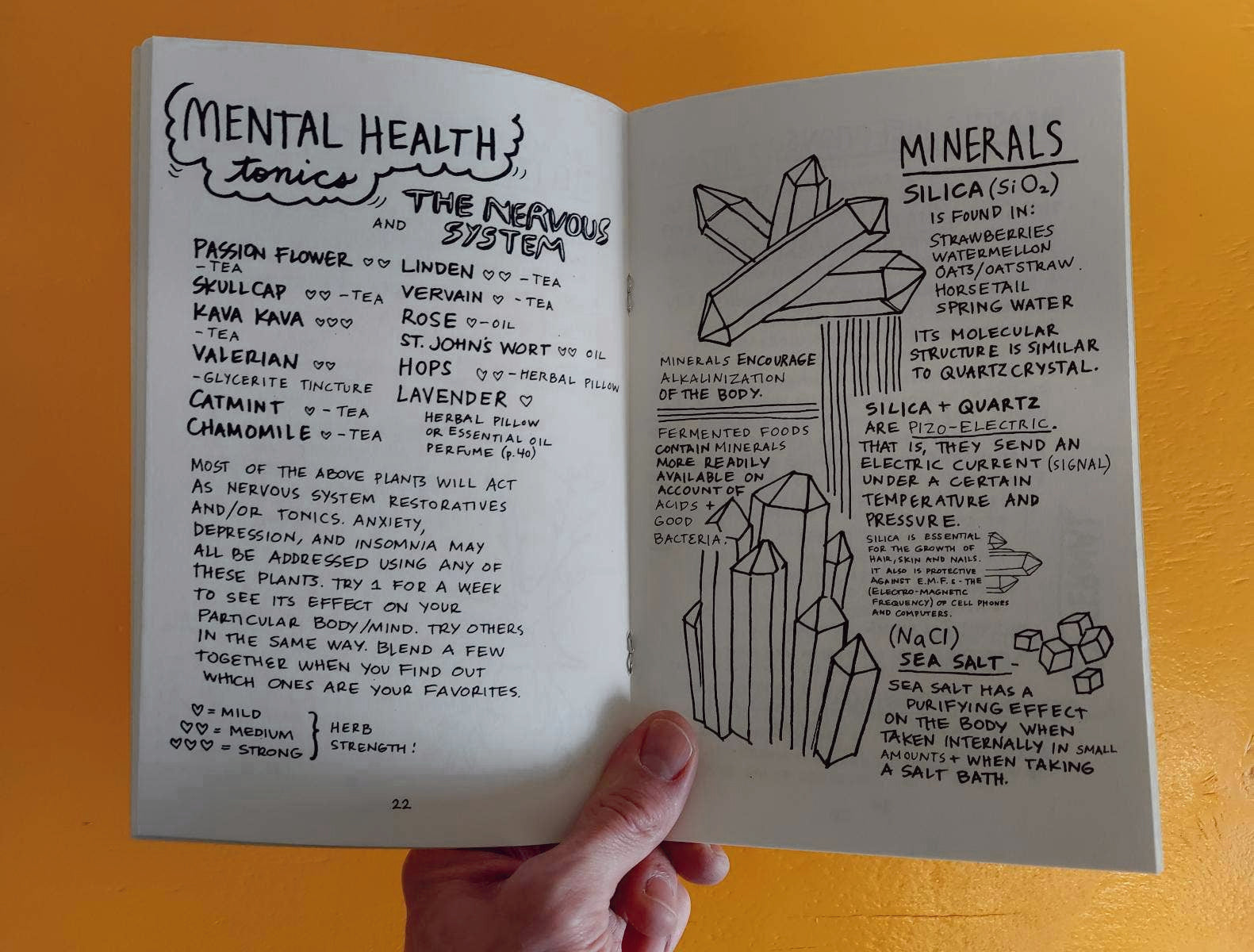 Empower Your Magical Body: Healing with Plants & Minerals (Zine)