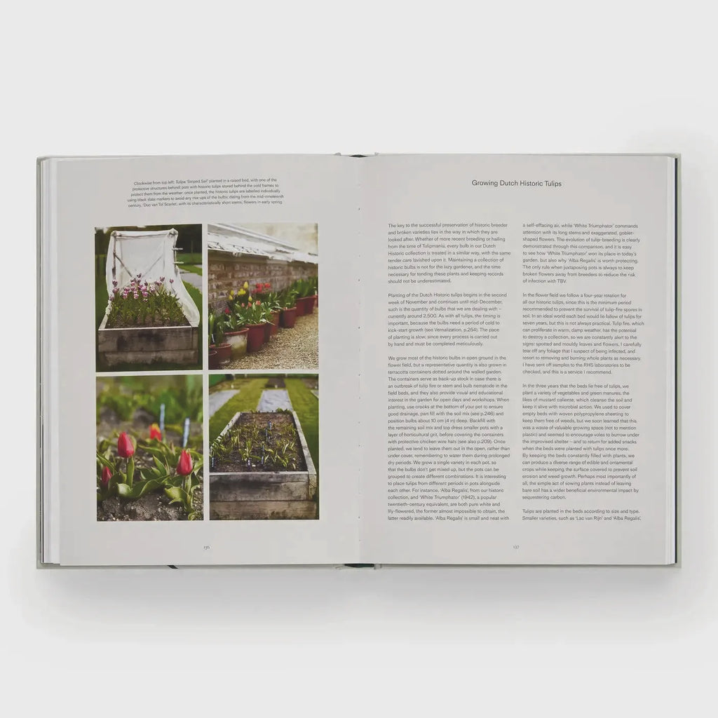 Tulip Gardens: Cultivate and Collect Rare Varieties